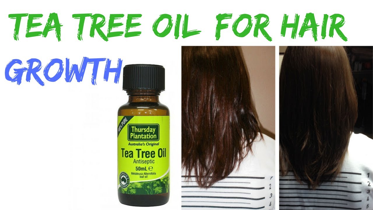 how to use tea tree oil for hair growth